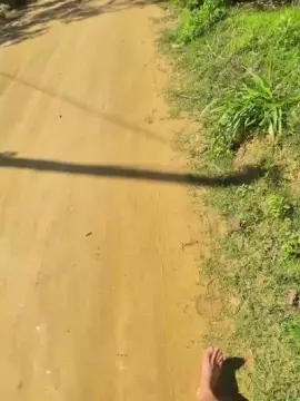 Cam4 Live Porn of Paizaodom