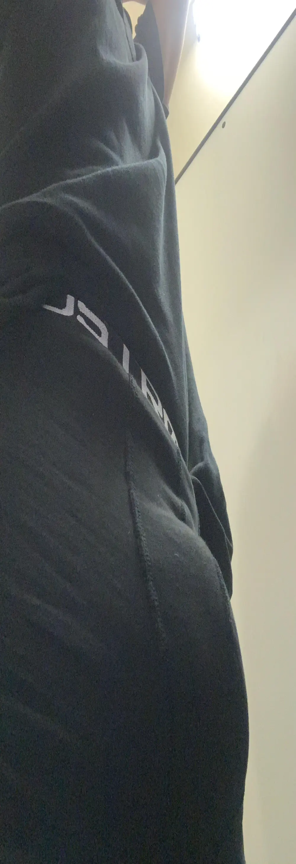 Sauger5891