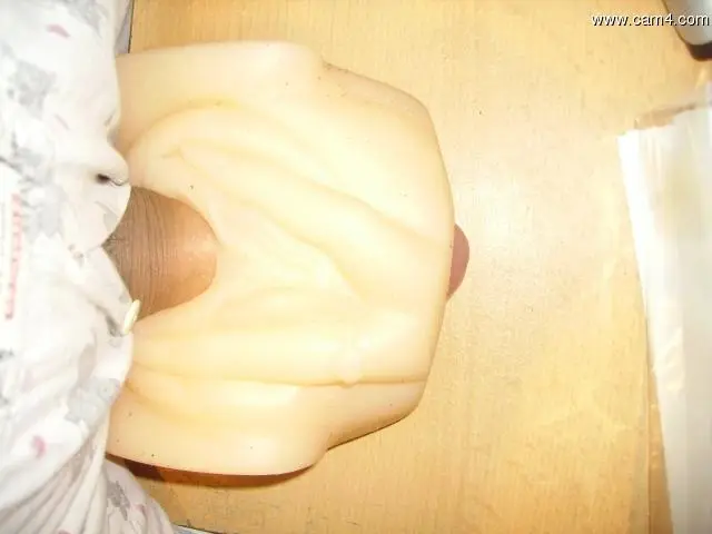 dog_666
