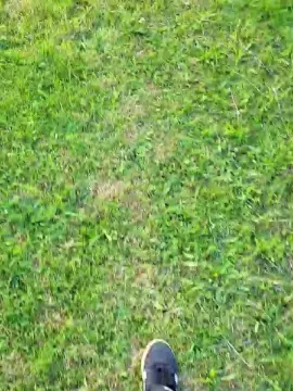 Cam4 Live Porn of tomsauwer