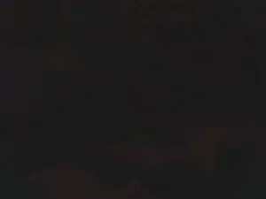 Cam4 Live Sex of lishrimpdick