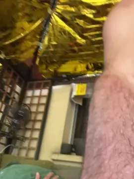 Cam4 Live Porn of cho54_fun