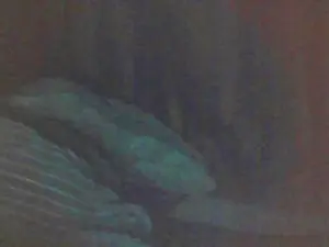 Cam4 Free Porn Cam of cutie_pie_hot