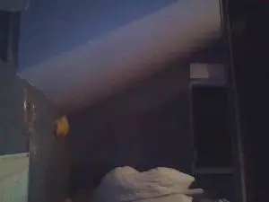 Cam4 Live Porn of NellisPink