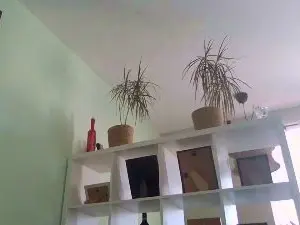 Cam4 Best Webcam of bigcockjohnxxx