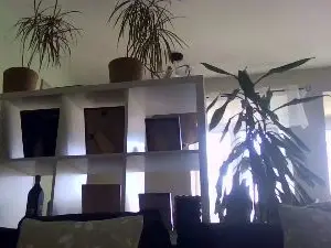 Cam4 Live Porn of bigcockjohnxxx