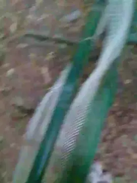 Cam4 Live Porn of danilofuckal