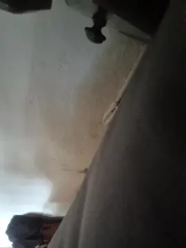 Cam4 Free Live Porn of Moskita69