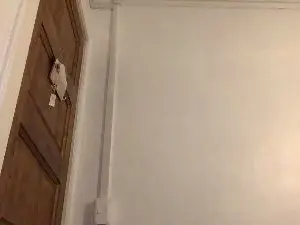 Cam4 Live Sex of Javierapalacios