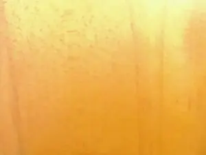 Cam4 Private Sex Chat of pollonbig07