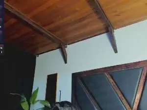Cam4 Live Sex Cam of EmiliWilliams