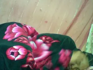 Cam4 Sex Cam of sabrica007