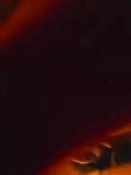 Cam4 Sex Cam of NicoySaki