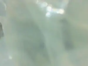 Cam4 Sex Cam of charlesgato