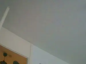 Cam4 Adult Webcam of mnchner