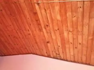 Camsoda Sex Cam of emmygomez