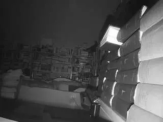 Camsoda Sex Chat of voyeurcam-bridgetleewalters-02