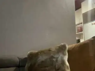 Camsoda Nude Webcam of kingtgc