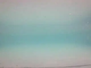 Camsoda Free Porn Cam of voyeurcam-casa-salsa-pool-1