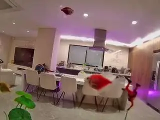Camsoda Best Webcam of voyeurcam-casa-salsa-fishtank