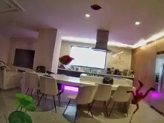 Camsoda Live Porn of voyeurcam-casa-salsa-fishtank