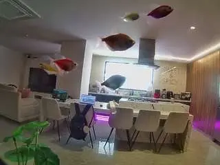 Camsoda Live Sex Cam of voyeurcam-casa-salsa-fishtank