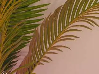 Camsoda Sex Cam of valery-swan