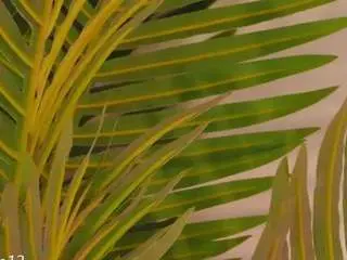Camsoda Best Webcam of valery-swan