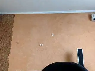 Camsoda Free Live Porn of dionnaseegars