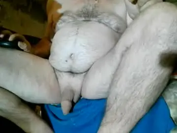 Chaturbate Sex Chat of belacska6