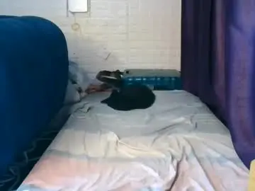 Chaturbate Best live sex cam show of sweet_hennessey