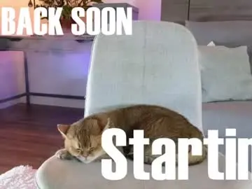 Chaturbate Sex Cam of sultryandrewww