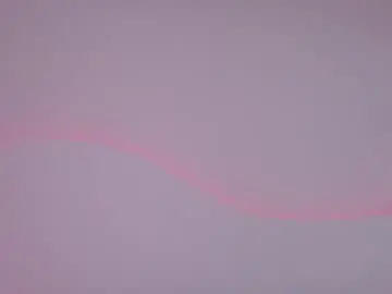 Chaturbate Best Webcam of petesevans_1