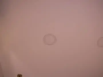 Chaturbate Adult Webcam of abby_me
