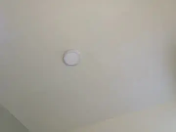 Chaturbate Adult Webcams of lexadominant__