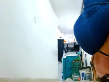 Chaturbate Sex Cam of anaids_dam