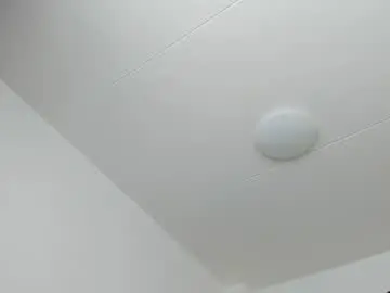 Chaturbate Sex Cam of 200gentleman