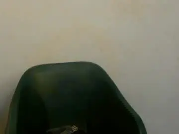 Chaturbate Live Porn of fariha_babyy