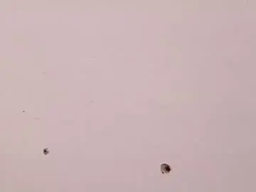 Chaturbate Nude Webcam of theyllorwillians