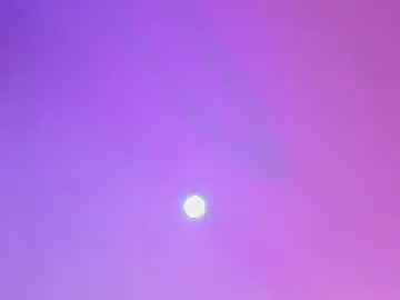 Chaturbate Adult Webcam of maria_sofii