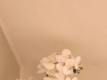 Chaturbate Adult Video Chat of cassiemiles