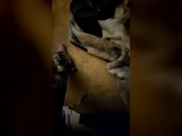 Chaturbate Best live sex cam show of joeleed