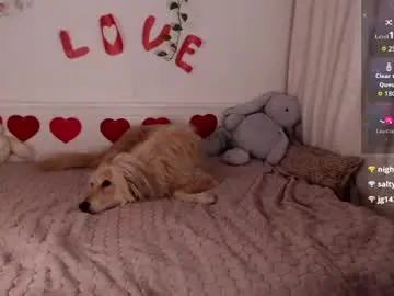 Chaturbate Adult Webcams of moore_alice