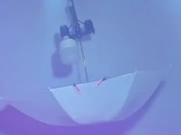 Chaturbate Nude Webcam of sam_naughty18