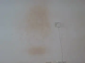 Chaturbate Private Sex Chat of flasher_bigboobs