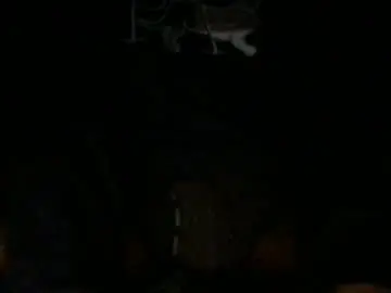 Chaturbate Sex Cam of chrisjones4504