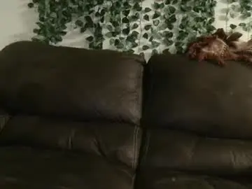Chaturbate Free Porn Cam of bigdicktrannynicole