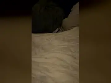 Chaturbate Adult Webcam of sjben