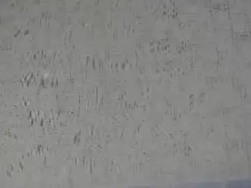 Chaturbate Live Porn of lexxyplay
