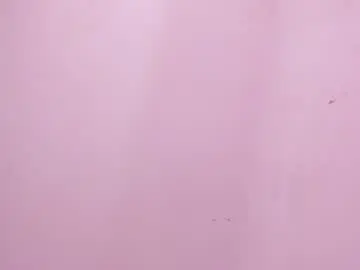 Chaturbate Live Porn of mia_tailor_bms